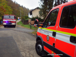 Likvidace nakloněné borovice ulice Waldhauserova