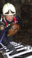 Záchrana psa ze studny Všenory