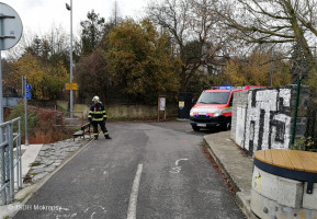 Vyproštění uhynulého zvířete z řeky Berounky