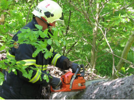 Motorová pila Stihl 029