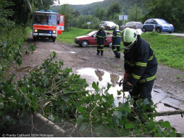 Prasklé a spadlé větve Na Vírku