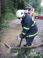 Prasklé a spadlé větve Na Vírku