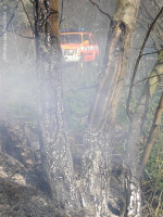Požár bioodpadu Lavičky