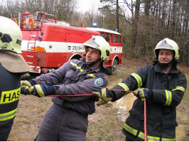 Nalomený strom ulice Na Šumavě