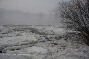 Ledová bariera na řece 8.1.2011