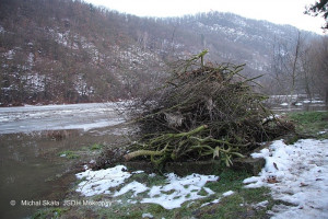 Ledová bariera na řece 8.1.2011