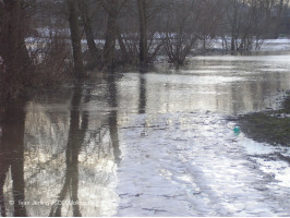 Ledová bariera na řece 8.1.2011