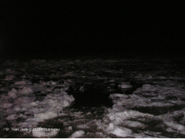 Ledová bariera na řece 8.1.2011