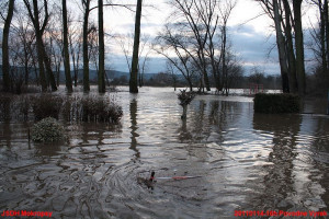 Lednová povodeň 14.1.2011