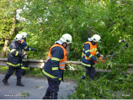 Prasklý strom ulice Vrážská