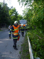 Prasklý strom ulice Vrážská