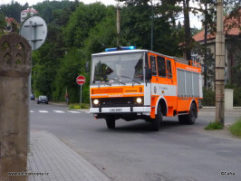 Likvidace obtížného hmyzu ulice Riegrova