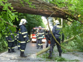 Spadlý strom přes komunikaci Karštejnská