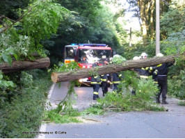 Spadlý strom přes komunikaci Karštejnská