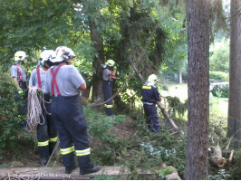 Likvidace nakloněného smrku ulice V Horce