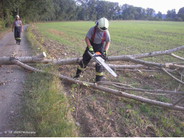 Likvidace spadlé větve na cyklostezku