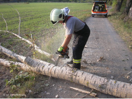 Likvidace spadlé větve na cyklostezku