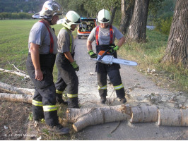 Likvidace spadlé větve na cyklostezku