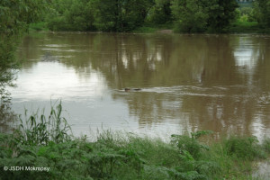 Povodně 06-2013