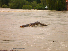 Povodně 13-06-03