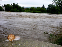 Povodně 13-06-04