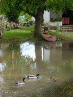 Povodně 13-06-14