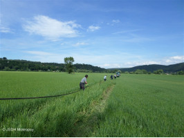 Povodně 13-06-16