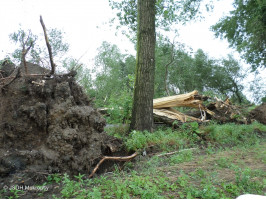 Cyklostezka před naším zásahem 6.8.2013