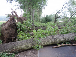 Cyklostezka před naším zásahem 6.8.2013