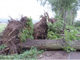 Cyklostezka před naším zásahem 6.8.2013