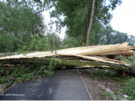 Cyklostezka před naším zásahem 6.8.2013