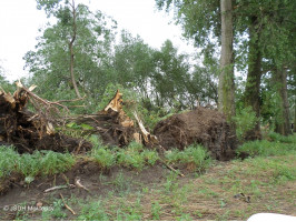 Cyklostezka před naším zásahem 6.8.2013