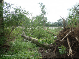 Cyklostezka před naším zásahem 6.8.2013