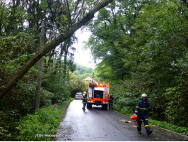 Spadlý strom do drátů nad Karlštenskou ulicí