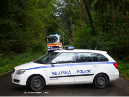 Spadlý strom do drátů nad Karlštenskou ulicí