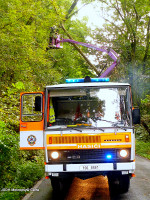 Spadlý strom do drátů nad Karlštenskou ulicí