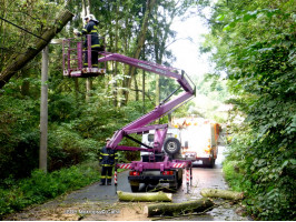 Spadlý strom do drátů nad Karlštenskou ulicí