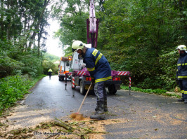 Spadlý strom do drátů nad Karlštenskou ulicí