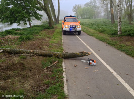 Likvidace spadlé větve na cyklostezku