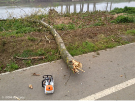 Likvidace spadlé větve na cyklostezku