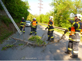 Spadlý strom nad 115/II ulice Vrážská