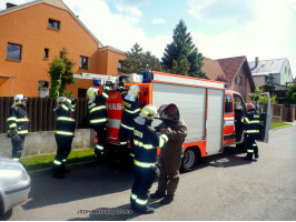 Likvidace bodavého hmyzu ulice Lidická