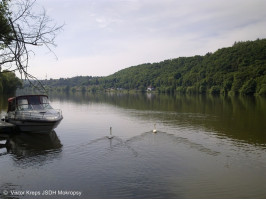 Výcvik na vodě Skochovice Vltava