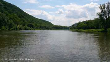 Výcvik na vodě Skochovice Vltava