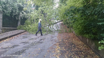 Padlý strom přes komunikaci ulice Mládežnická