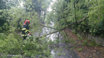 Padlý strom přes komunikaci ulice Mládežnická