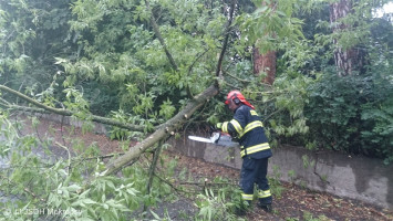 Padlý strom přes komunikaci ulice Mládežnická