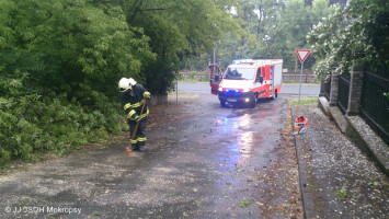 Padlý strom přes komunikaci ulice Mládežnická