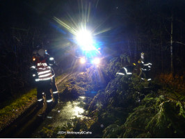 Spadlý strom na komunikaci Kala směr Roblín