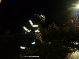 Spadlý strom na komunikaci Kala směr Roblín